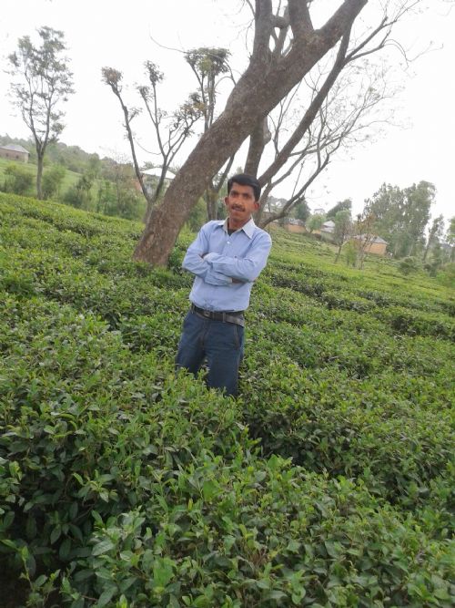Profile photograph of ashok kumar Choudhary