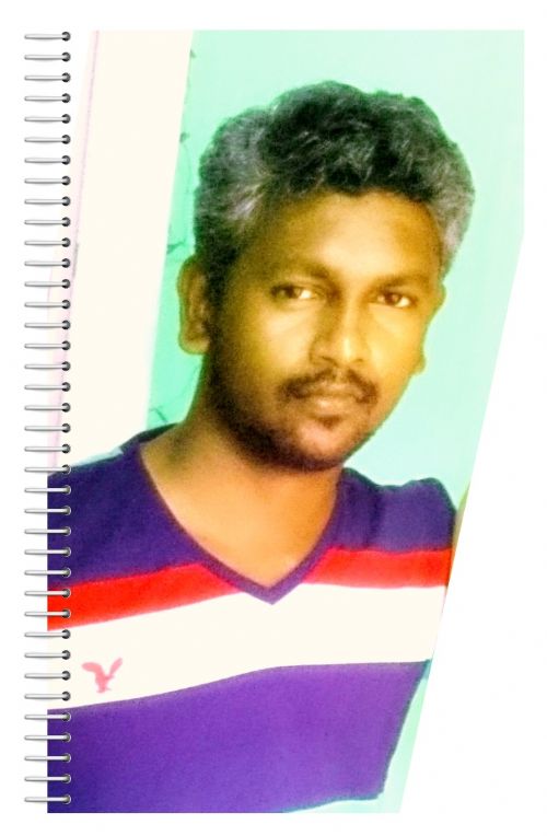 Profile photograph of M.ILAYARAJA