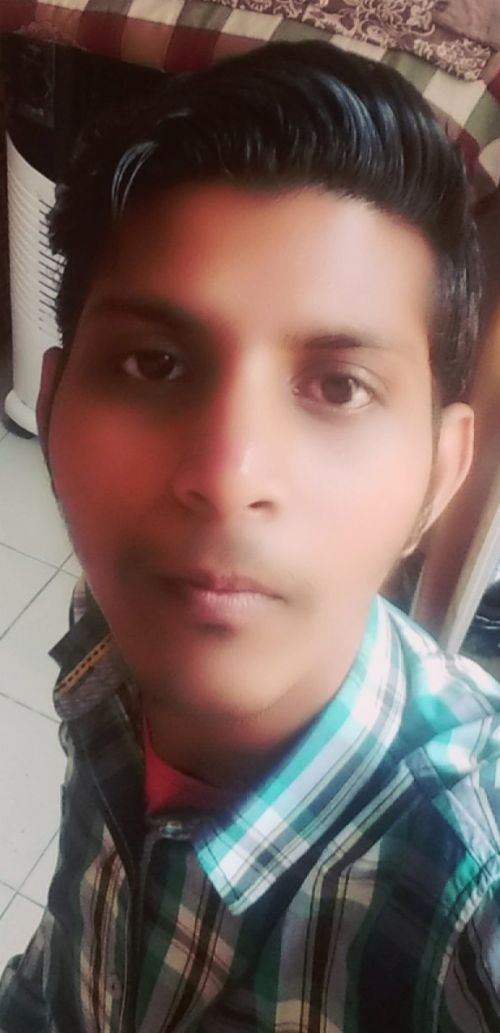 Profile photograph of golu