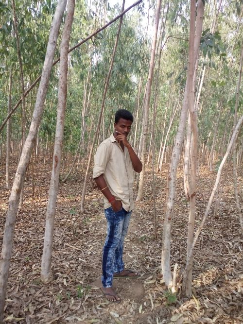 Profile photograph of anandha suresh