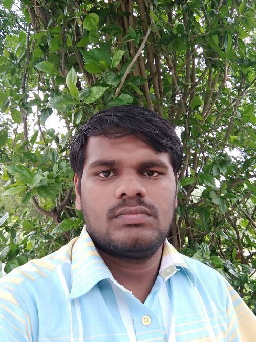 Profile photograph of AMOL PATHADE