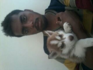 Profile photograph of shekar Reddy
